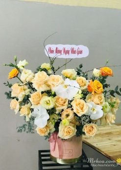 Yên bình - Mr165
